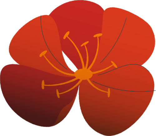 Hoa mai, hoa, màu đỏ, năm cánh, nhụy vàng, tết, mùa xuân, thực vật, apricot blossom, flower, red, five petals, yellow stamen, lunar new year, spring, plant