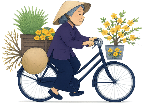 Bà cụ, đạp xe, phụ nữ, nón lá, hoa mai vàng, tết, xe đạp, old woman, old woman, riding a bicycle, woman, conical hat, yellow mai flower, tet, bicycle. 1