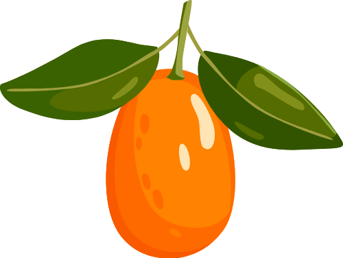 Quả tắc, quả quất, trái cây, màu cam, lá xanh, tết, thực phẩm, kumquat, fruit, orange, green leaves, tet, food