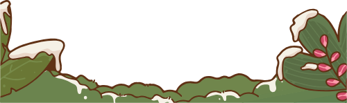 Cây thông, thông, pine, giáng sinh, noel, xmas, christmas 1