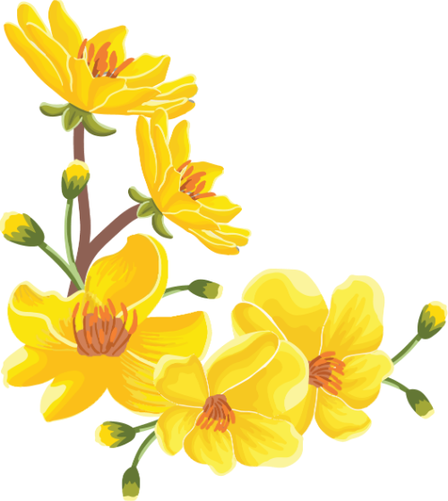 Cành hoa mai, hoa mai vàng, nụ hoa, lá xanh, mùa xuân, tết, hoa tết, apricot blossom branch, yellow apricot flower, flower bud, green leaf, spring, tet holiday, lunar new year flower