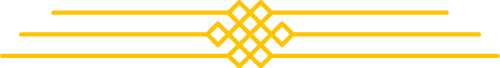 Hoa văn, họa tiết, line, shape