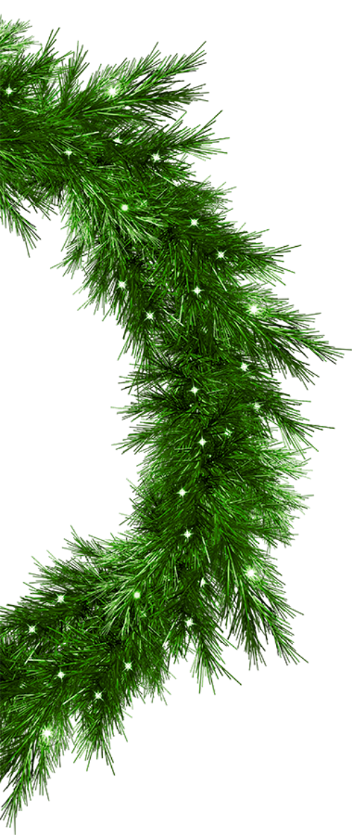 Lá thông, cây thông, pine, cây xanh, cây, tree, giáng sinh, christmas