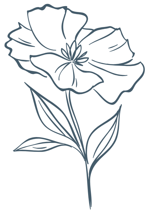 Hoa lá, flower, leaf, thiên nhiên, hoa cỏ 2