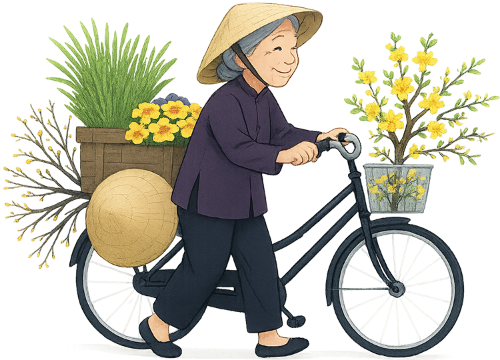 Bà cụ, dắt xe đạp, phụ nữ, nón lá, hoa mai vàng, tết, xe đạp, old woman, walking bike, woman, conical hat, yellow apricot blossom, tet, bicycle