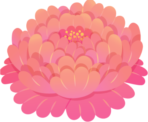 Hoa, hoa mẫu đơn, flower, peonie