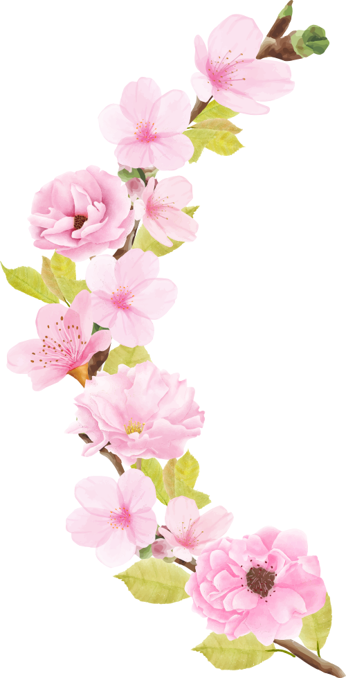 Hoa đào, hoa, nhánh hoa, cành hoa, ngày tết, mùa xuân, màu hồng, peach blossom, flower, branch, twig, tet, spring, pink 2