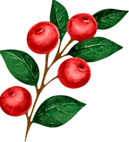 Quả mọng, cành cây,  berries, twigs, giáng sinh, decor, Christmas
