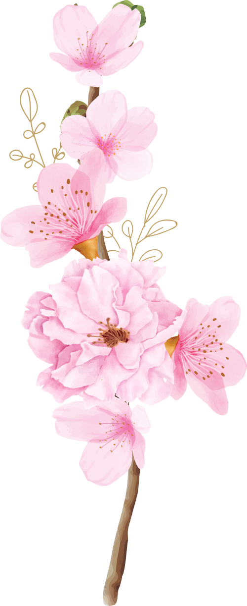 Hoa đào, hoa, nhánh hoa, cành hoa, ngày tết, mùa xuân, màu hồng, peach blossom, flower, branch, twig, tet, spring, pink 7