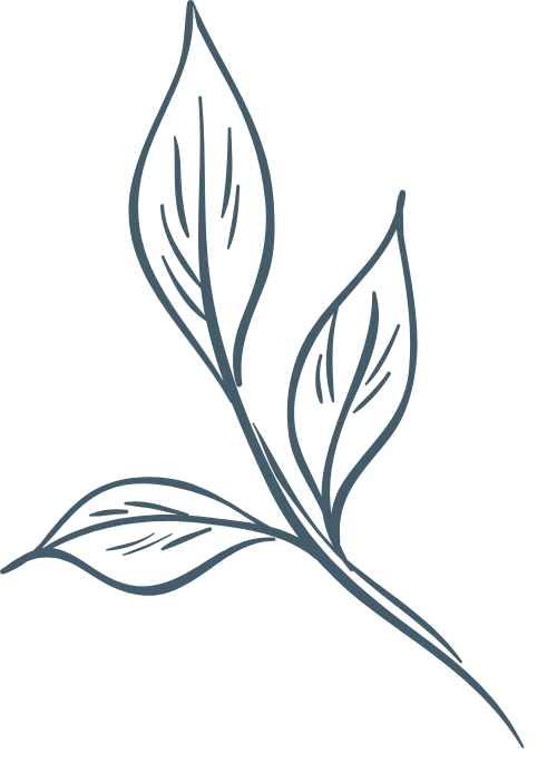 Hoa lá, flower, leaf, thiên nhiên, hoa cỏ 6