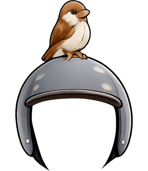 Chim sẻ, đang đậu, con vật, mũ bảo hiểm, màu xám, sparrow, perched, animal, helmet, grey