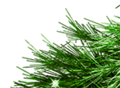 Lá thông, cây thông, pine, cây xanh, cây, tree, giáng sinh, christmas