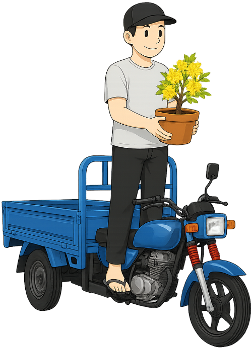 Chàng trai, bê chậu, đàn ông, xe ba gác, chở cây, cây hoa, chậu cây, màu xanh dương, màu vàng, nón lưỡi trai, dép lê, boy, man, three-wheeled motorbike, carrying plant, flower tree, potted plant, blue, yellow, baseball cap, flip flops 2