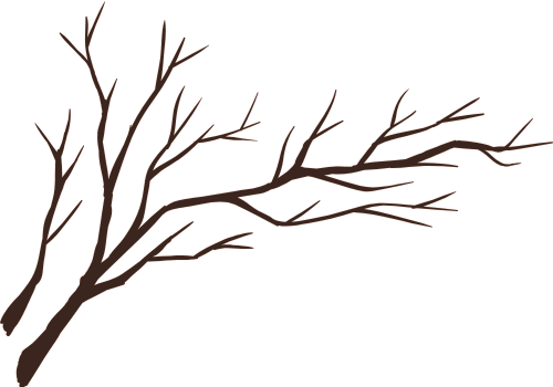 Nhành cây, nhánh cây, cây, tree, shape