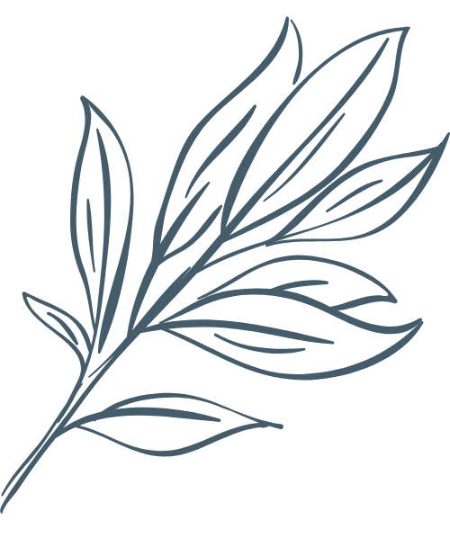 Hoa lá, flower, leaf, thiên nhiên, hoa cỏ 7