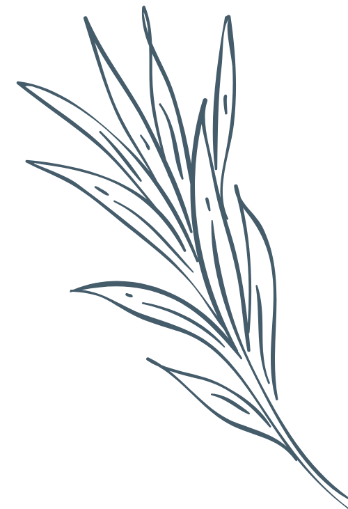 Hoa lá, flower, leaf, thiên nhiên, hoa cỏ 4