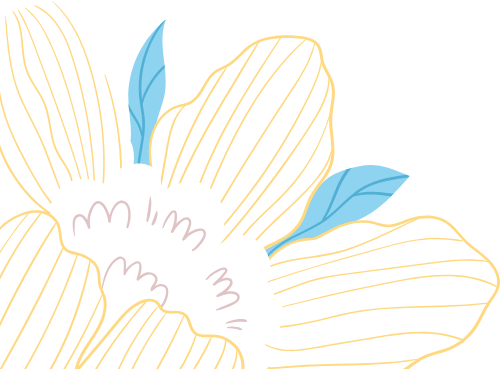 Hoa, flower, shape, line