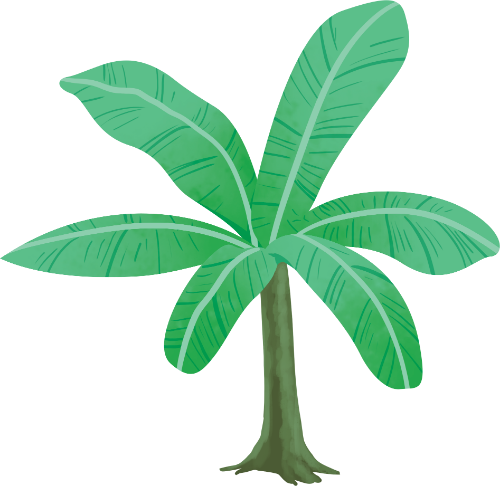 Cây chuối, lá xanh, thân cây, thực vật, thiên nhiên, miền quê, banana tree, green leaves, trunk, plant, nature, countryside