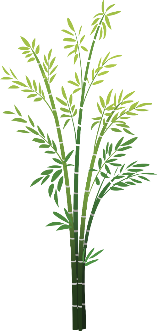 Cây tre, tre, lá xanh, thân tre, thiên nhiên, thực vật, việt nam, bamboo, bamboo, green leaves, bamboo trunk, nature, plant, vietnam