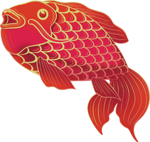 Cá chép, bơi, động vật, màu đỏ, vảy vàng, tết, may mắn, cá cảnh, carp, swimming, animal, red, golden scales, lunar new year, lucky, ornamental fish 3