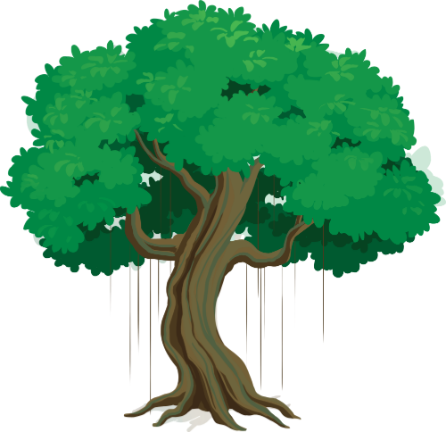 Cây đa, cây cổ thụ, lá xanh, rễ phụ, bóng mát, làng quê, banyan tree, ancient tree, green leaves, aerial roots, shade, village