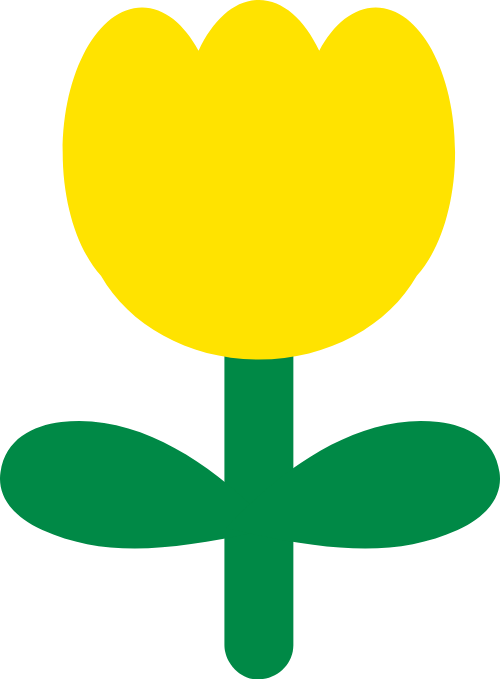 Tulip, tulip vàng