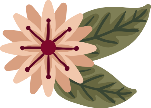 Hoa, cánh hoa, lá xanh, thực vật, thiên nhiên, trang trí, màu hồng nhạt, flower, petal, green leaves, plant, nature, decoration, light pink