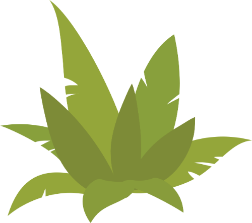 Bụi cây, lá cây, thực vật, màu xanh lá, thiên nhiên, trang trí, cây dại, bush, leaves, plant, green, nature, decoration, wild plant