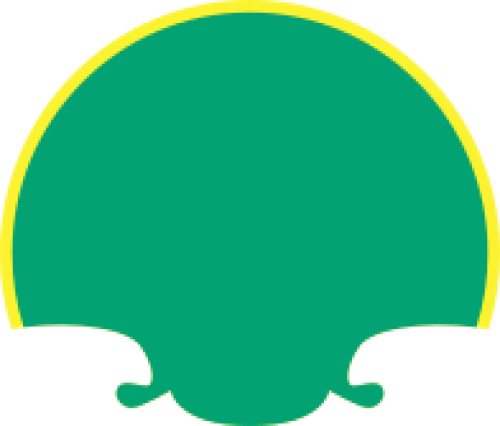 Shape, mảng