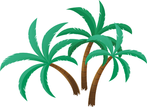 Cây dừa, lá dừa, cây nhiệt đới, biển, mùa hè, thực vật, thiên nhiên, coconut tree, coconut leaf, tropical tree, sea, summer, plant, nature