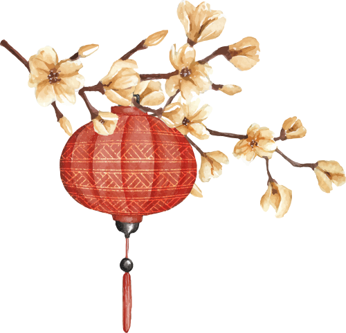 Lồng đèn đỏ, hoa mai, cành hoa, treo, tết, truyền thống, red lantern, apricot blossom, flower branch, hanging, lunar new year, traditional