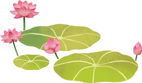Hoa sen, hoa sen, lá sen, màu hồng, thực vật, thiên nhiên, đầm sen, hồ nước, lotus, lotus flower, lotus leaf, pink, plant, nature, lotus pond, lake
