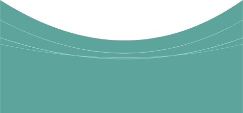 Shape, mảng màu