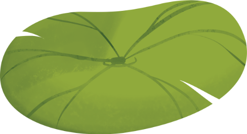 Lá sen, lá, sen, thực vật, màu xanh lá, hồ sen, gân lá, lotus leaf, leaf, lotus, plant, green, lotus pond, leaf veins