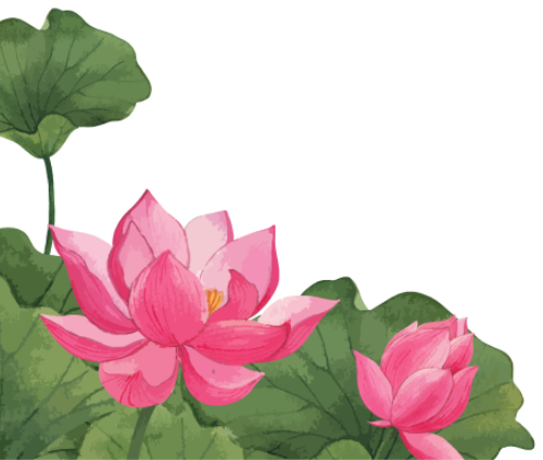 Hoa sen