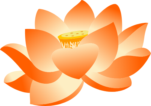 Hoa sen, lotus