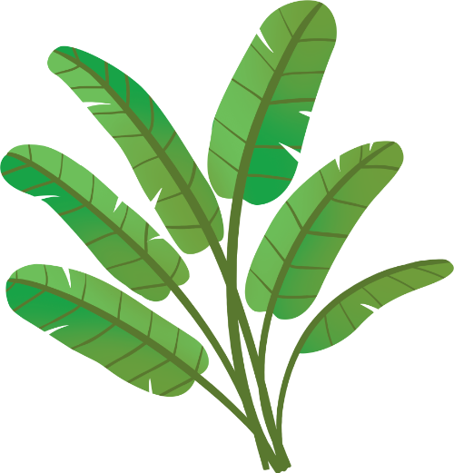 Cây chuối, thực vật, cụm lá, màu xanh lá, thiên nhiên, nhiệt đới, vườn, banana plant, plant, leaf cluster, green, nature, tropical, garden