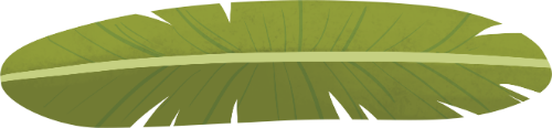 Lá chuối, lá xanh, thực vật, thiên nhiên, gân lá, banana leaf, green leaf, plant, nature, leaf veinsasket, lotus leaf, green leaf, wicker, countryside, handicraft 3