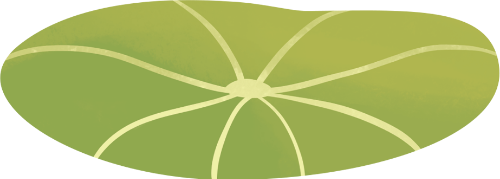 Lá sen, lá, màu xanh lá, hình tròn, gân lá, thiên nhiên, dưới nước, lotus leaf, leaf, green, round, leaf veins, nature, underwater