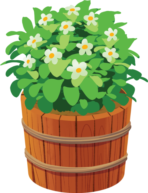 Chậu hoa trắng, chậu gỗ, lá xanh, hoa nhỏ, trang trí, thiên nhiên, vườn, white flower pot, wooden bucket, green leaves, small flowers, decoration, nature, garden