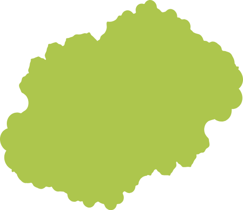 Cỏ, bãi cò,grass, shape