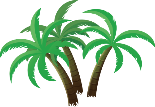 Cây dừa, lá dừa, cây nhiệt đới, biển, mùa hè, thực vật, thiên nhiên, coconut tree, coconut leaf, tropical tree, sea, summer, plant, nature