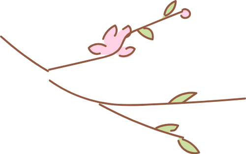 Hoa đào, hoa anh đào, cherry blossom, hoa, flower, tết, xuân, spring