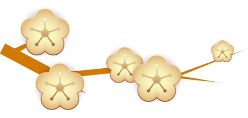 Hoa mai, hoa mai vàng, hoa, flower, tết, xuân, spring 1