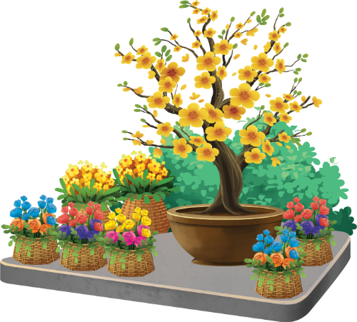 Cây mai vàng, hoa mai, chậu hoa, giỏ hoa, tết, cây cảnh, hoa hồng, trang trí sân vườn, hoa nhiều màu, apricot blossom tree, apricot blossom, flower pot, flower basket, tet, plant, rose, garden decoration, colorful flowers