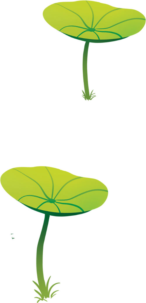 Cây sen, lá sen, màu xanh lá, thân cỏ, thiên nhiên, thực vật, vươn cao, lotus plant, lotus leaf, green, grass stem, nature, plant, reaching high