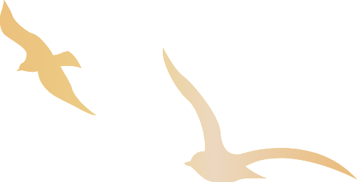 Chim én, bird