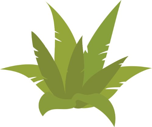 Bụi cây, lá cây, thực vật, màu xanh lá, thiên nhiên, trang trí, cây dại, bush, leaves, plant, green, nature, decoration, wild plant