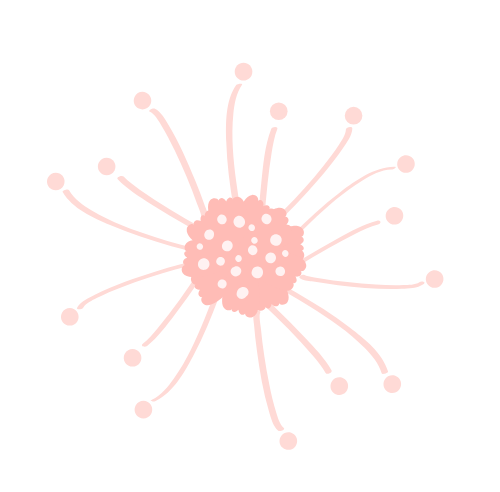 Hoa đào, hoa anh đào, anh đào, cherry blossom, hoa, flower 1