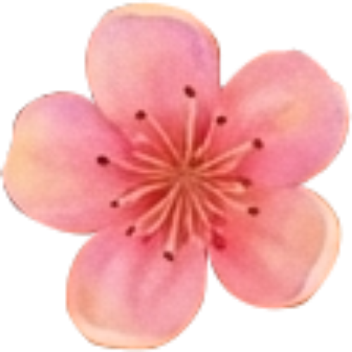 Hoa đào